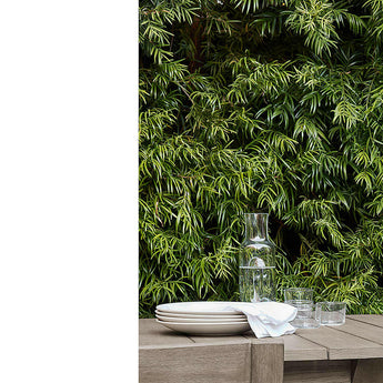 Andorra Madera Gris Envejecida Exterior Silla de comedor con Taupe Cojín.