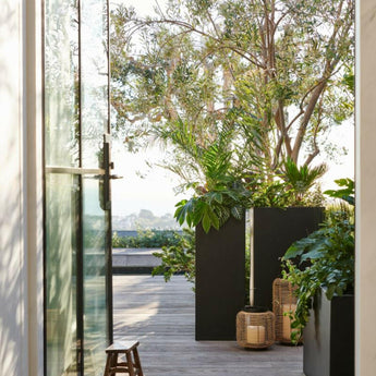 Jardinera negra rectangular Walker de 31,5" x 31,5" de altura.