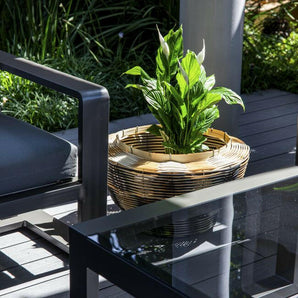 Cuna de Mo tejida Cesta Natural.