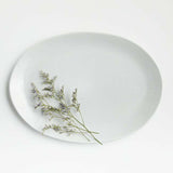 Plato de Bienvenida II.