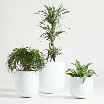 Junio Pequeña Jardinera Redonda Blanca 13".