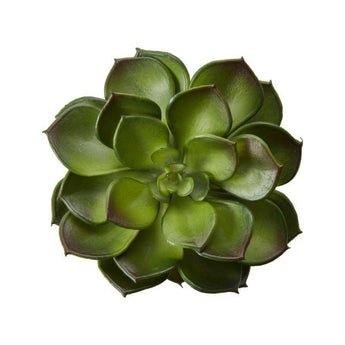 Tallo artificial de la suculenta Echeveria.
