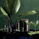 Coctelera de grafito Fenton.