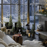 Linterna de Petaluma.