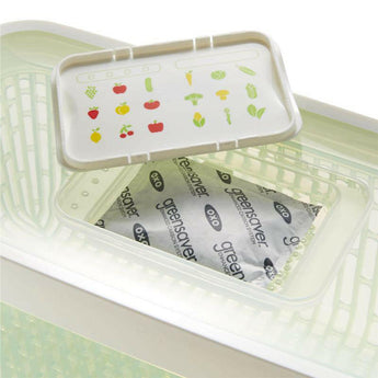 OXO® 5-Qt. Greensaver Produce Keeper.