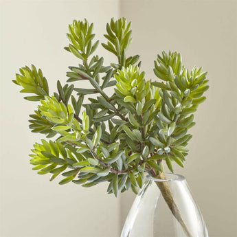 Tallo suculento de Faux Sedum Album.