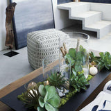 Tallo suculento de yuca verde.