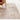 Paularo Distressed Neutral Rug 8'x10'