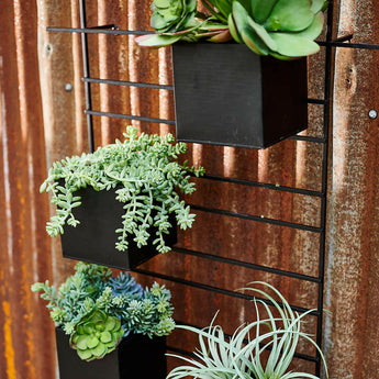 Black Planter Box for Wall Mounted Indoor/Outdoor Planter.