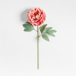 Faux Peony Stem by Abigail Ahern