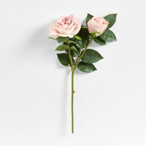 Faux Tea Stained Stem 18" by Abigail Ahern