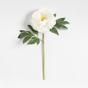 Faux Peony Stem by Abigail Ahern
