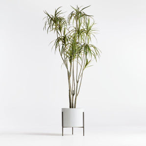 Potted Faux Dracaena