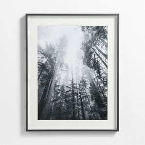 Brushed Picture Frame