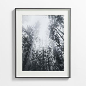 Brushed Picture Frame