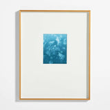 Brushed Brass Metal Picture Frame with White Mat 8x10.