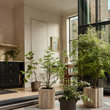 Crucible Small Black Terracotta Planters with Saucer by Athena Calderone.