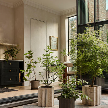 Crucible Small Black Terracotta Planters with Saucer by Athena Calderone.