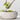 Tondo Whitewash Servers, Set of 2.