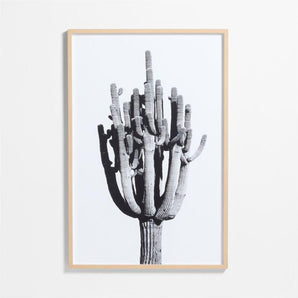 "Cactus" by Jennifer MaHarry Framed Photography Print