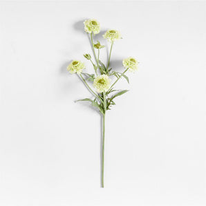 Faux Scabiosa Stem by Abigail Ahern