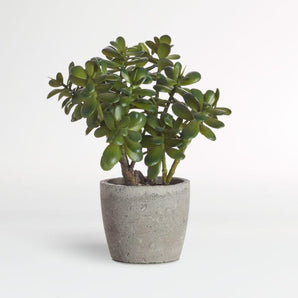 Potted Faux Jade Plant