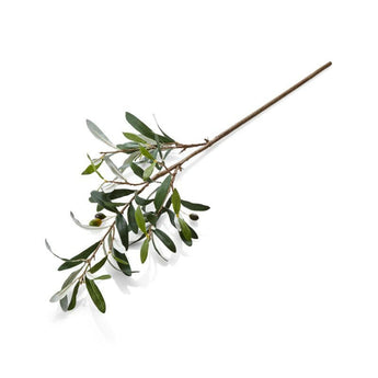 Faux Olive Stem.