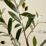 Faux Olive Stem.
