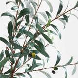 Large Faux Olive Stem.