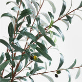 Large Faux Olive Stem.