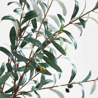 Large Faux Olive Stem.