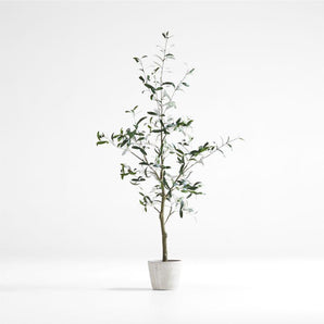 Faux Olive Tree in Pot 5'.