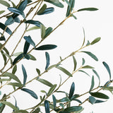 Faux Olive Tree in Pot 5'.