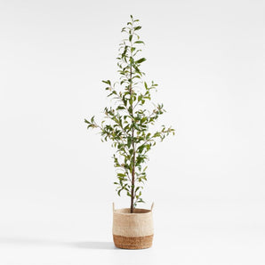 Potted Faux Almond Tree