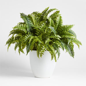 Potted Faux Fern