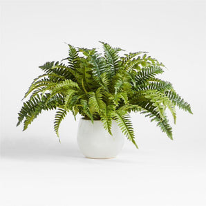 Potted Faux Fern Small