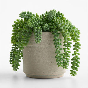 Potted Faux Burros Tail Succulent 7"