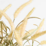 Large Faux Potted Grass in White Pot.