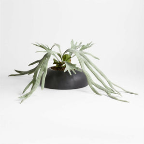 Potted Faux Green Staghorn Fern.