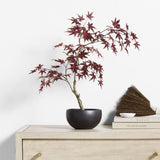Potted Faux Japanese Maple in Black Pot.
