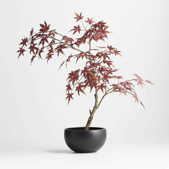 Potted Faux Japanese Maple in Black Pot.