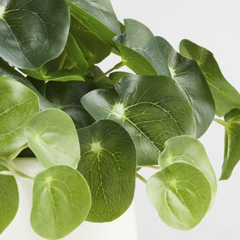 Potted Faux Pilea Plant in White Pot.