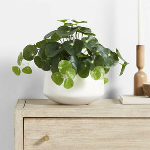 Potted Faux Pilea Plant in White Pot.