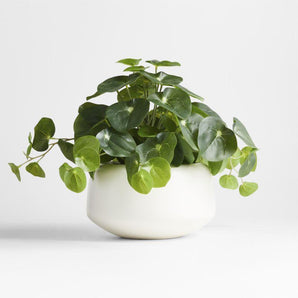 Potted Faux Pilea Plant in White Pot.