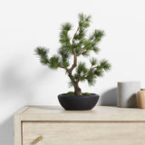 Potted Faux Pine Bonsai in Black Pot.