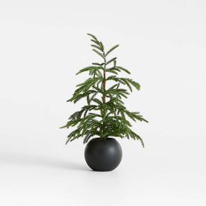 Potted Pre-Lit Norfolk Pine Faux Tree 2'