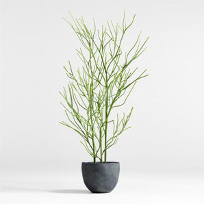 Potted Faux Pencil Cactus