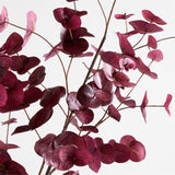 Faux Large Dark Red Eucalyptus Branch 72".