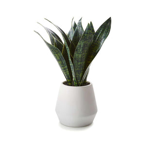 Artificial snake plant in a modern interior setting, enhancing decor with realistic foliage and low maintenance