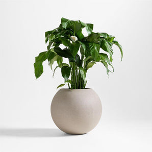Jardinera esférica para interior y exterior